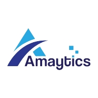 Amaytics Digital Services Pvt Ltd